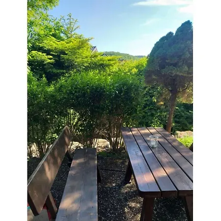 Apartment Teutoburg Forest Hiking Paradise *