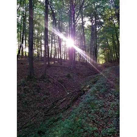 Teutoburg Forest Hiking Paradise *