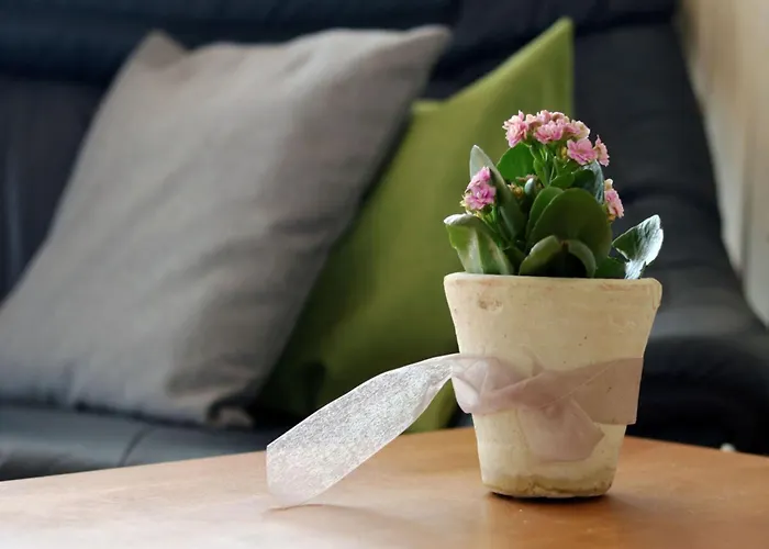 Teutoburg Forest Hiking Paradise Appartement *