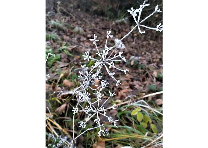 Appartement Teutoburg Forest Hiking Paradise Bad Driburg