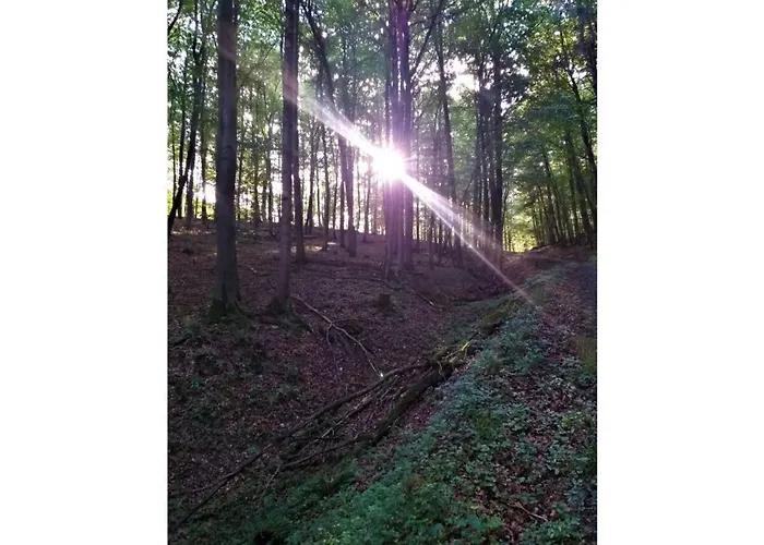 Teutoburg Forest Hiking Paradise *